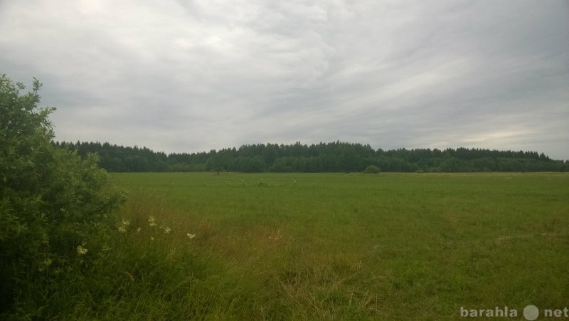 Продам: Земля под ИЖС