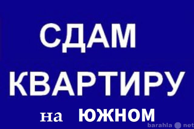 Сдам: квартиру