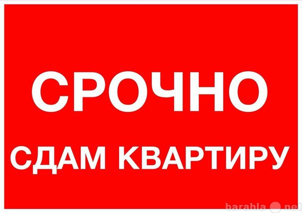 Сдам: квартиру