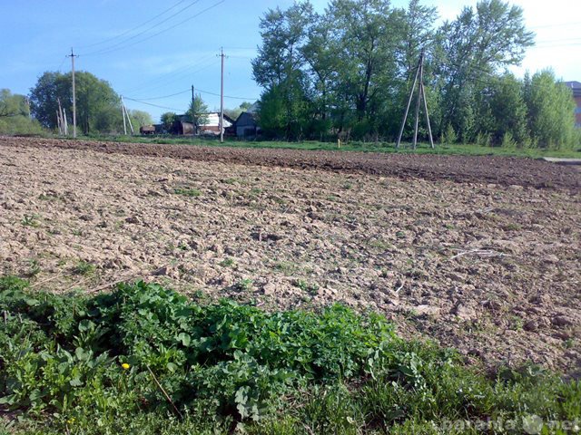 Продам: Участок под ИЖС,Село Ивановское