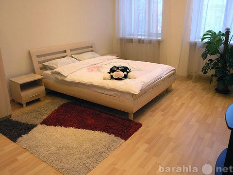 Сдам: квартиру