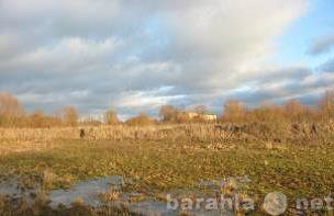 Продам: Продажа земельного участка в Новгородско