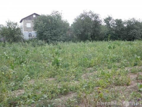 Продам: земельный  участок в с.Новохаритоново