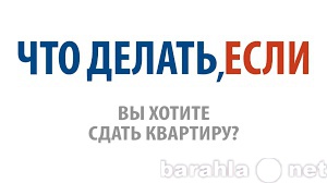 Сниму: квартиру