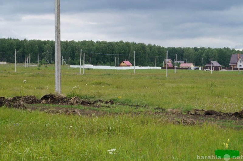 Продам: Земельный участок в п. Кайгородово