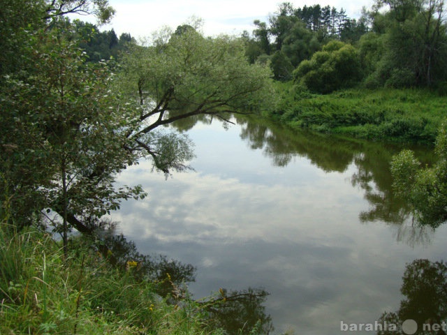 Продам: Земельный участок на реке Нара