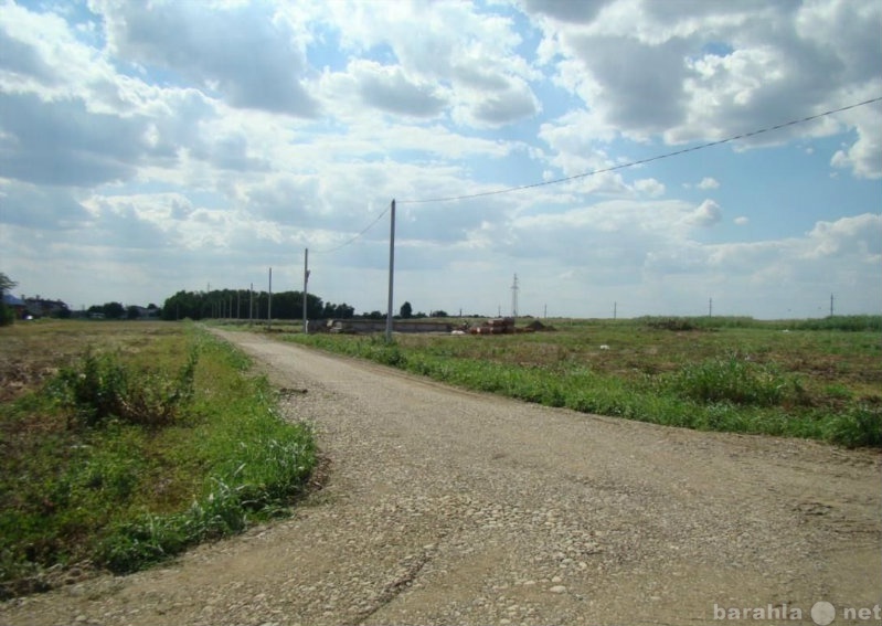 Продам: земельный участок в Новознаменском
