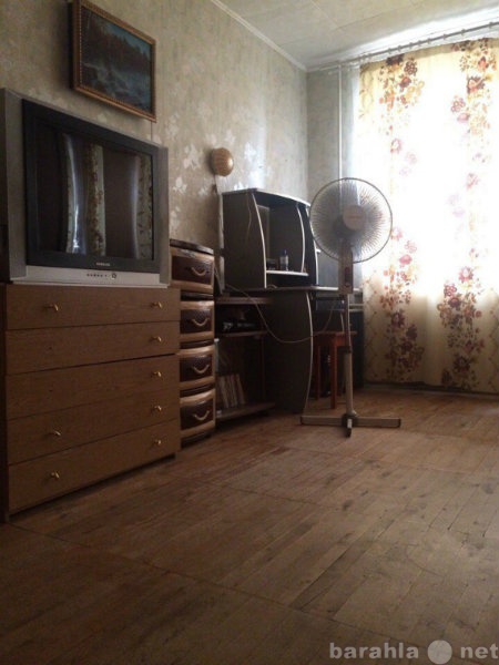 Сдам: квартиру