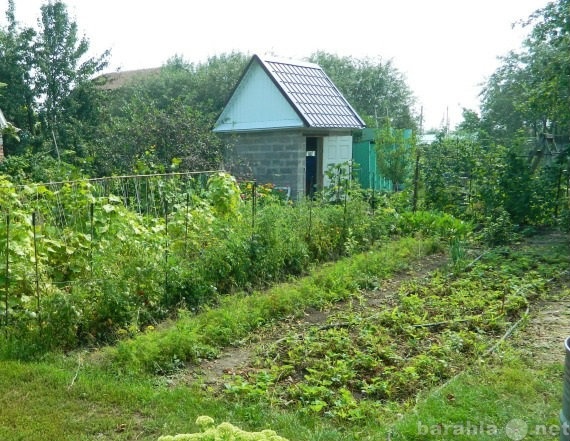 Продам: дачу