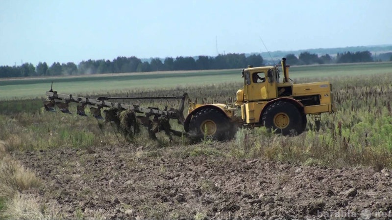 Продам: Земля Сельхозназначения