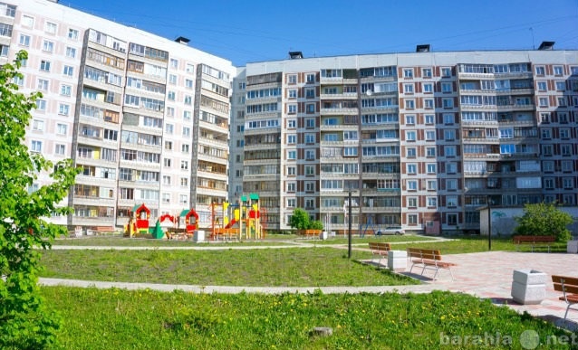 Сдам: квартиру