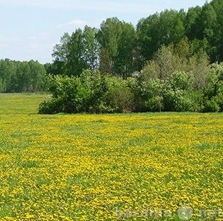 Продам: Участок