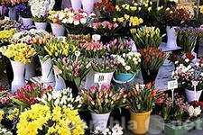 Вакансия: Продавец-кассир в магазин цветов