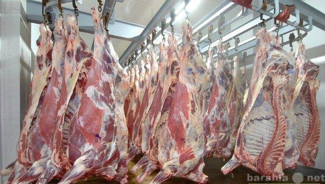 Вакансия: разнорабочие, спец. по мясопереработке