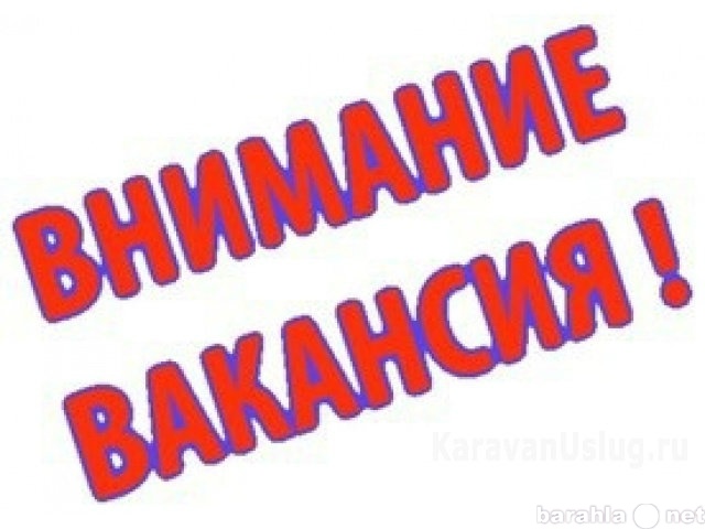 Вакансия: Информационный менеджер