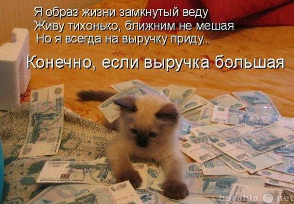 Вакансия: Информационный менеджер