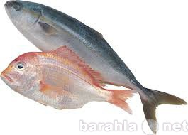 Вакансия: рыбообработчик