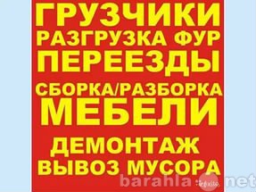 Ищу работу: грузчик,разнорабочий.уборка снега